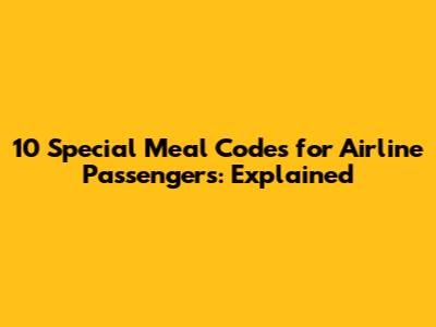 10 Special Meal Codes for Airline Passengers: Explained