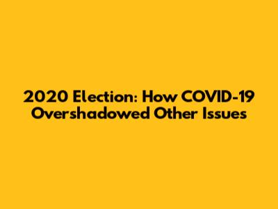 2020 Election: How COVID-19 Overshadowed Other Issues