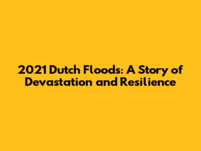 2021 Dutch Floods: A Story of Devastation and Resilience