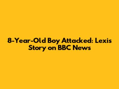 8-Year-Old Boy Attacked: Lexi's Story on BBC News