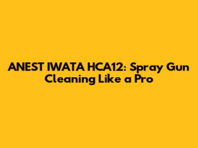 ANEST IWATA HCA12: Spray Gun Cleaning Like a Pro