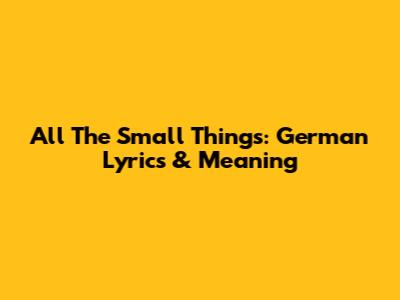 All The Small Things: German Lyrics & Meaning