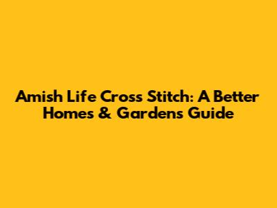 Amish Life Cross Stitch: A Better Homes & Gardens Guide