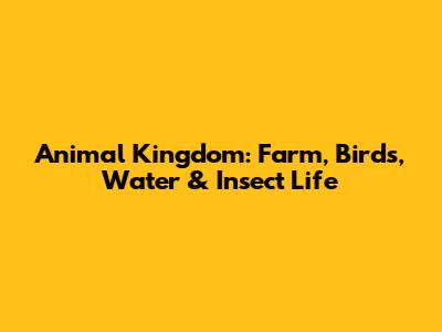 Animal Kingdom: Farm, Birds, Water & Insect Life