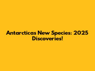 Antarctica's New Species: 2025 Discoveries!