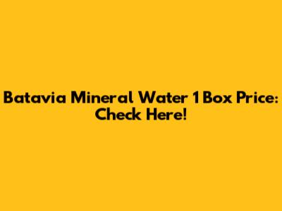 Batavia Mineral Water 1 Box Price: Check Here!