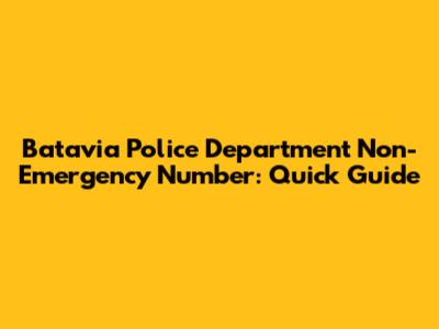 Batavia Police Department Non-Emergency Number: Quick Guide