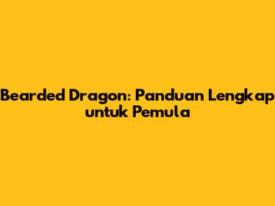 Bearded Dragon: Panduan Lengkap untuk Pemula