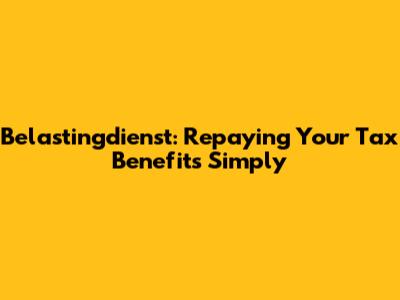 Belastingdienst: Repaying Your Tax Benefits Simply