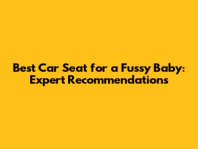 Best Car Seat for a Fussy Baby: Expert Recommendations