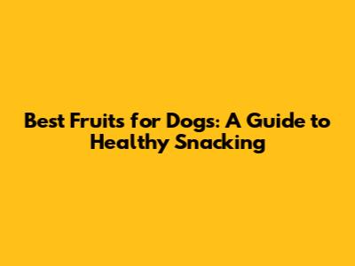 Best Fruits for Dogs: A Guide to Healthy Snacking
