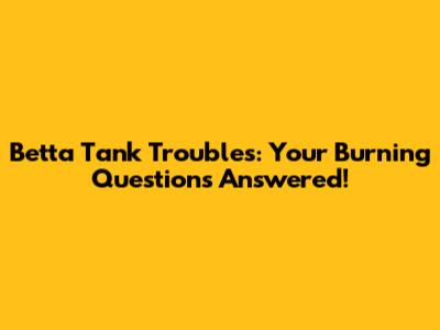 Betta Tank Troubles: Your Burning Questions Answered!