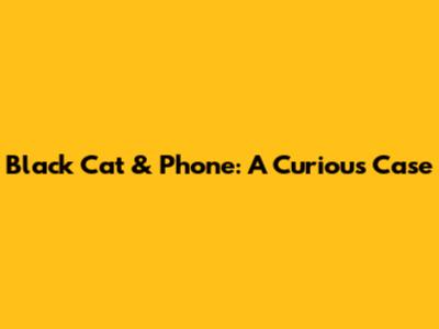 Black Cat & Phone: A Curious Case