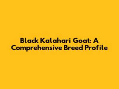 Black Kalahari Goat: A Comprehensive Breed Profile