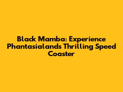Black Mamba: Experience Phantasialand's Thrilling Speed Coaster