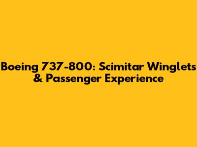 Boeing 737-800: Scimitar Winglets & Passenger Experience