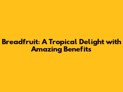 Breadfruit: A Tropical Delight with Amazing Benefits
