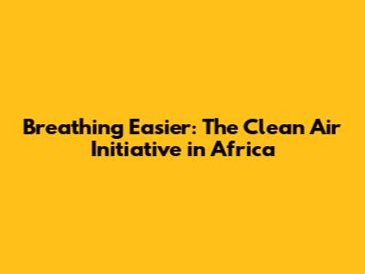 Breathing Easier: The Clean Air Initiative in Africa