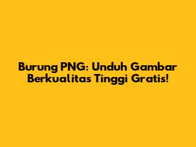 Burung PNG: Unduh Gambar Berkualitas Tinggi Gratis!