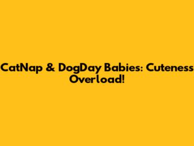 CatNap & DogDay Babies: Cuteness Overload!