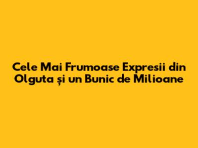 Cele Mai Frumoase Expresii din 'Olguta și un Bunic de Milioane'