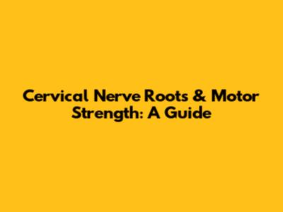 Cervical Nerve Roots & Motor Strength: A Guide
