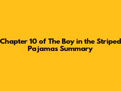Chapter 10 of 'The Boy in the Striped Pajamas' Summary