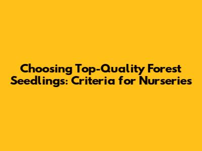 Choosing Top-Quality Forest Seedlings: Criteria for Nurseries