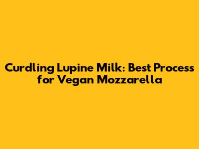 Curdling Lupine Milk: Best Process for Vegan Mozzarella