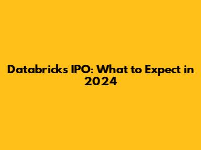 Databricks IPO: What to Expect in 2024