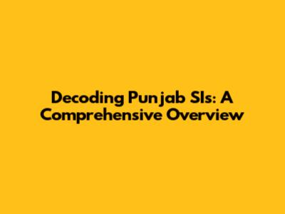 Decoding Punjab SIs: A Comprehensive Overview