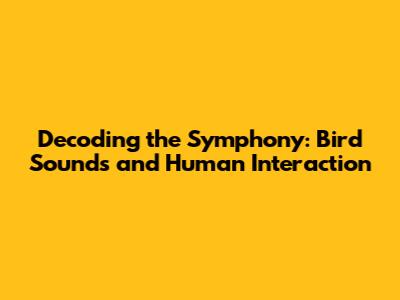 Decoding the Symphony: Bird Sounds and Human Interaction