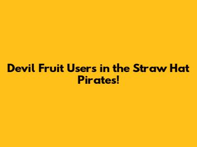 Devil Fruit Users in the Straw Hat Pirates!