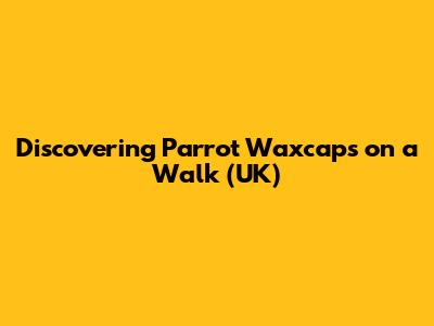 Discovering Parrot Waxcaps on a Walk (UK)