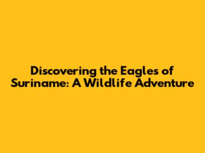 Discovering the Eagles of Suriname: A Wildlife Adventure