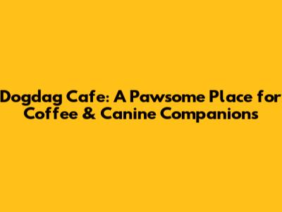 Dogdag Cafe: A Pawsome Place for Coffee & Canine Companions