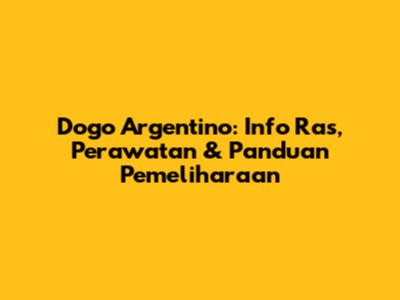 Dogo Argentino: Info Ras, Perawatan & Panduan Pemeliharaan