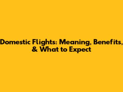 Domestic Flights: Meaning, Benefits, & What to Expect