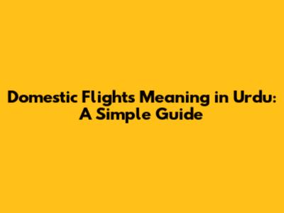Domestic Flights Meaning in Urdu: A Simple Guide