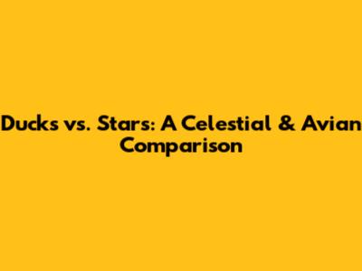 Ducks vs. Stars: A Celestial & Avian Comparison