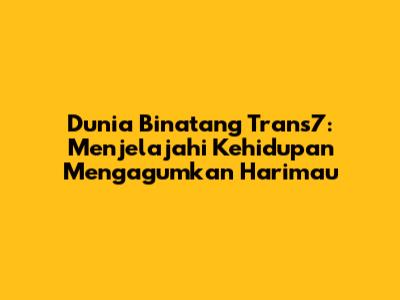 Dunia Binatang Trans7: Menjelajahi Kehidupan Mengagumkan Harimau