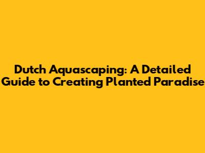 Dutch Aquascaping: A Detailed Guide to Creating Planted Paradise