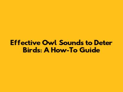 Effective Owl Sounds to Deter Birds: A How-To Guide
