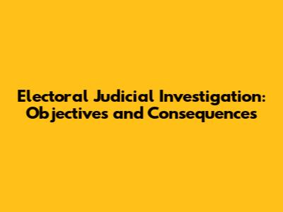 Electoral Judicial Investigation: Objectives and Consequences