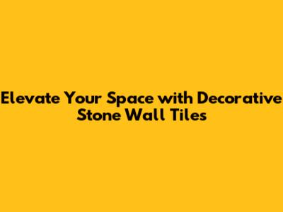 Elevate Your Space with Decorative Stone Wall Tiles