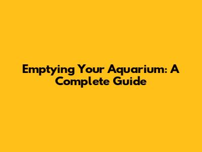 Emptying Your Aquarium: A Complete Guide