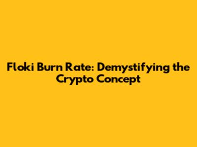 Floki Burn Rate: Demystifying the Crypto Concept