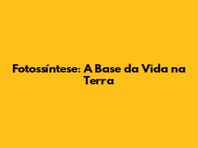 Fotossíntese: A Base da Vida na Terra