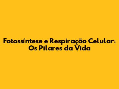 Fotossíntese e Respiração Celular: Os Pilares da Vida