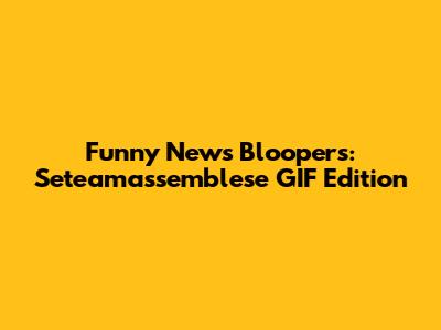 Funny News Bloopers: Seteamassemblese GIF Edition